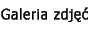 Galeria zdj��